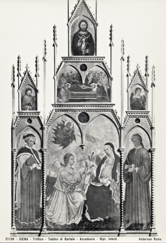 Anderson — Taddeo di Bartolo - sec. XV - Annunciazione; San Cosma; San Damiano; Transito della Madonna — insieme